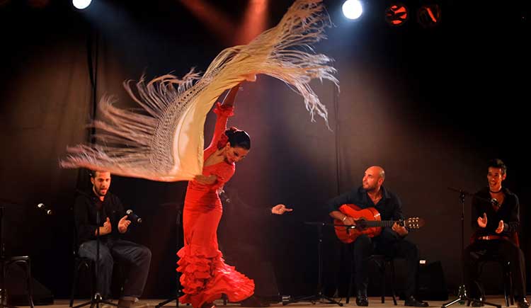 Montserrat Suarez Flamenco