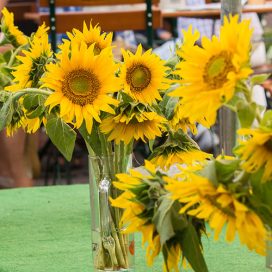 Bauernherbst-2017_©_Lenzenweger0058 Bauernherbst-2017_©_Lenzenweger0058