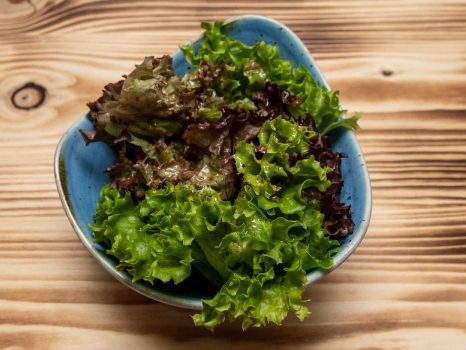 Insalata Piccola Verde | k.u.k. Osteria Miramare zu Ischl