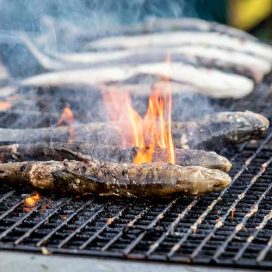 2. k.u.k. Fischfest 2023, Samstag 2. k.u.k. Fischfest 2023, Samstag